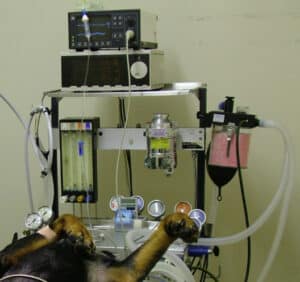 general anaesthetis